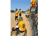 Pony's Double Header
